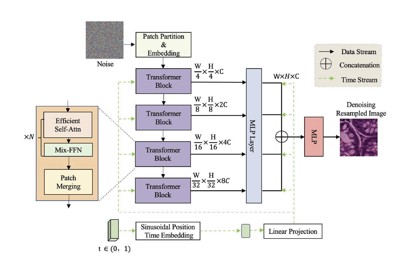 Model Architecture